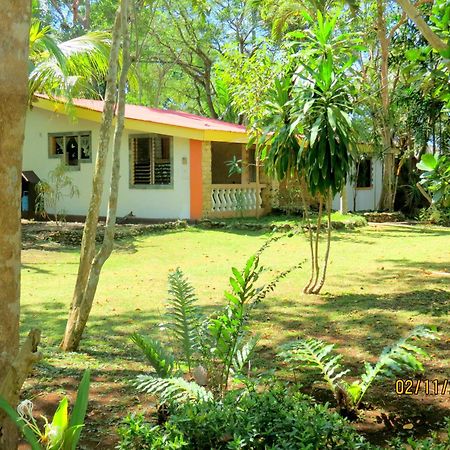 Alonaland Resort Panglao Kültér fotó