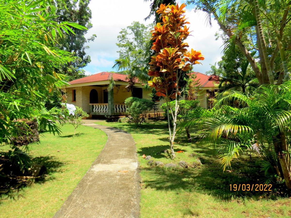 Alonaland Resort Panglao Kültér fotó
