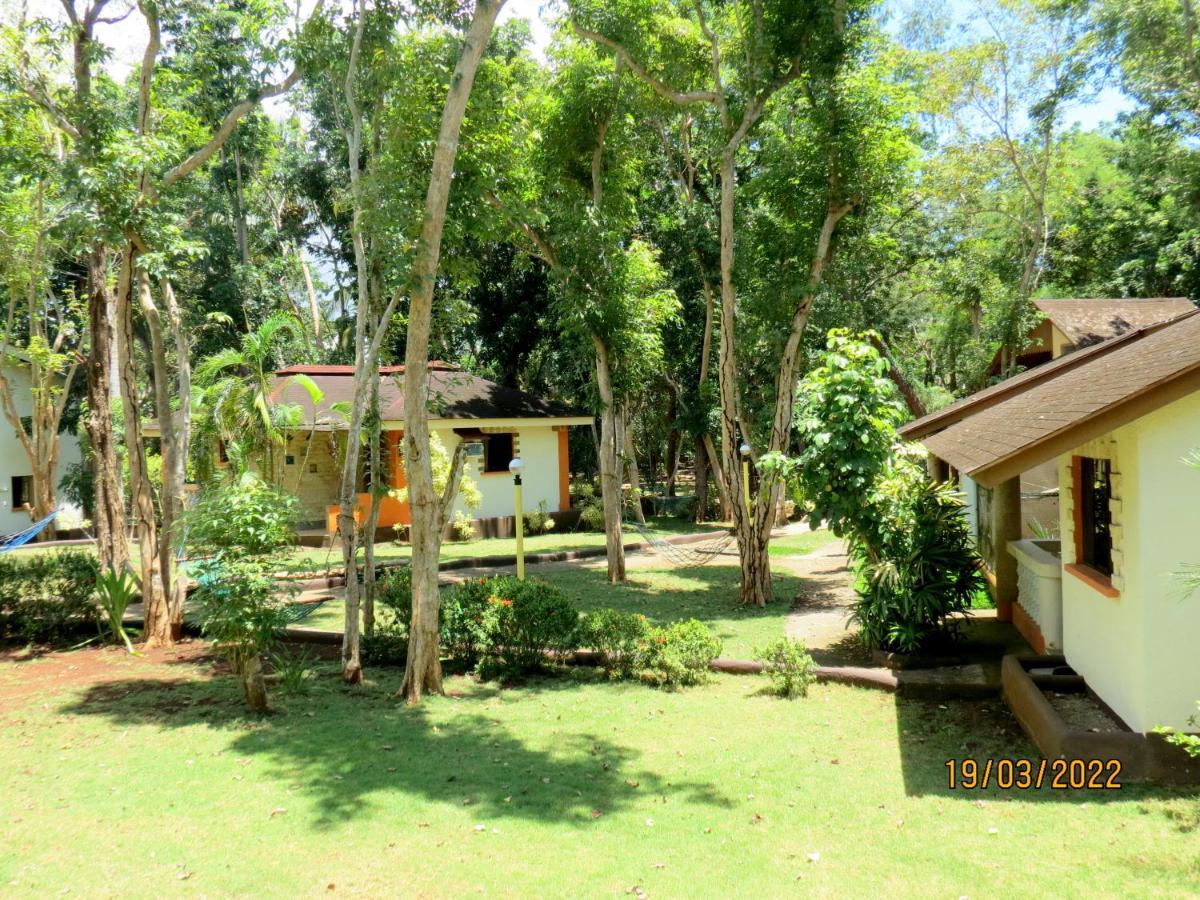Alonaland Resort Panglao Kültér fotó