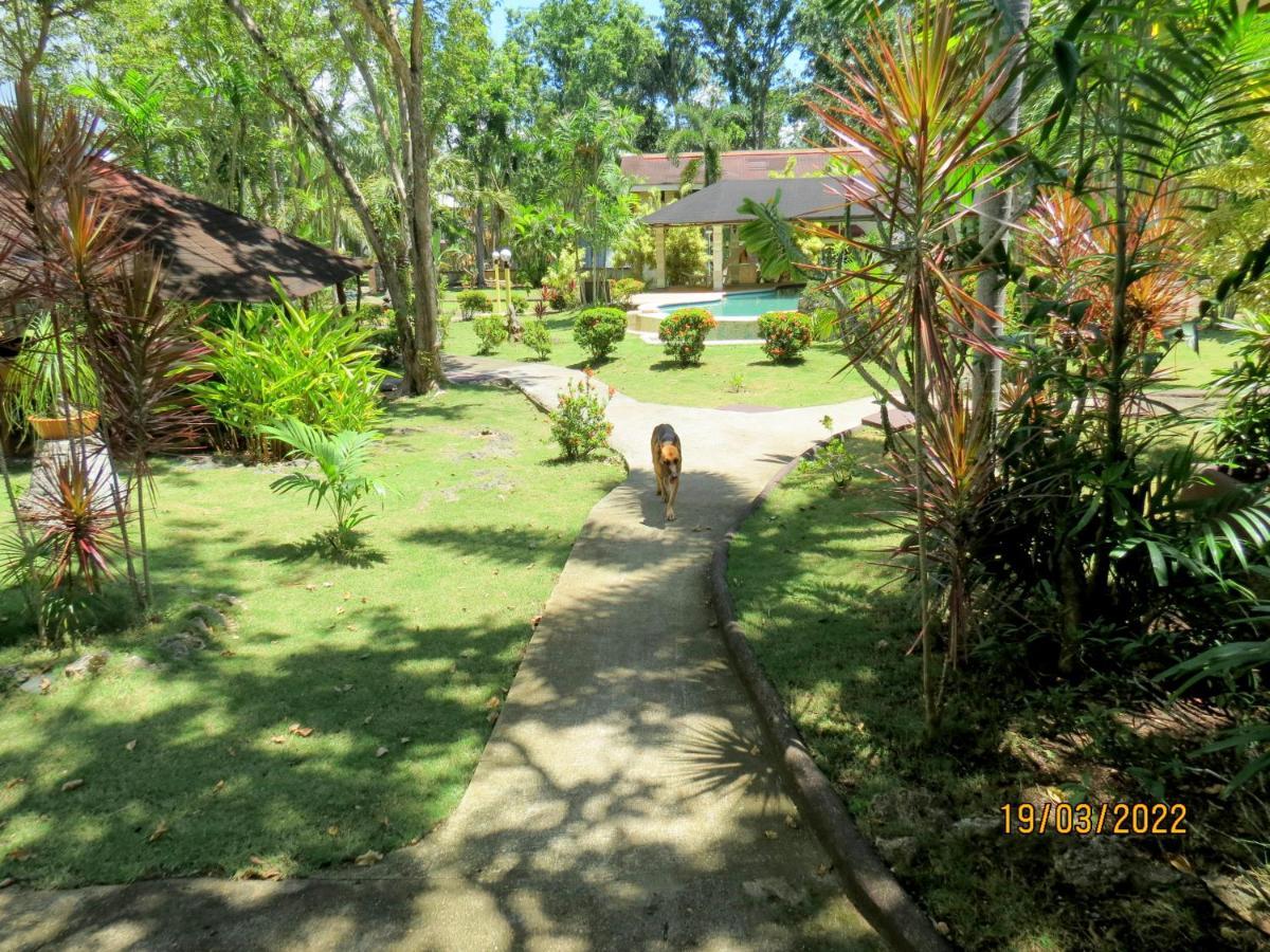 Alonaland Resort Panglao Kültér fotó