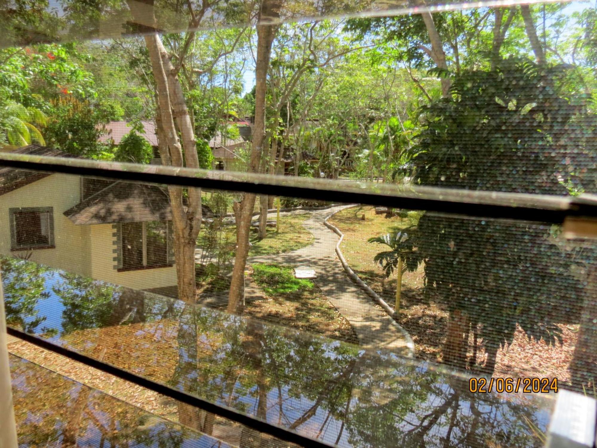 Alonaland Resort Panglao Kültér fotó