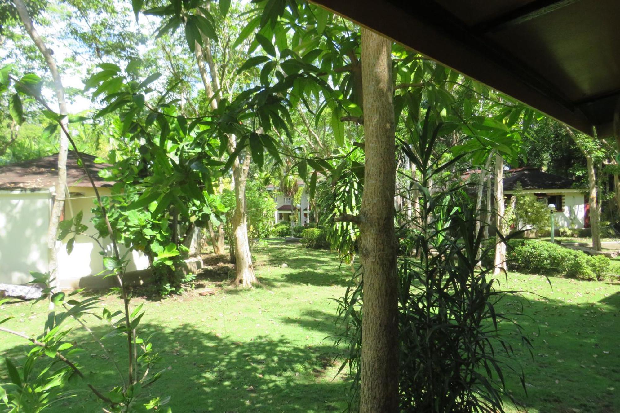 Alonaland Resort Panglao Kültér fotó